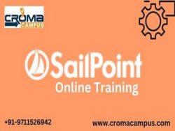 SailPoint Online Training in India
