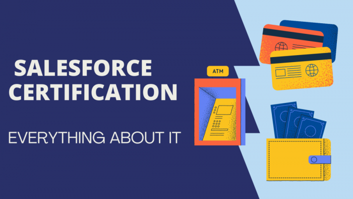 What Do You Need to Know About Salesforce Certifications?