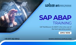 Best SAP ABAP Online Training in India Provided By Croma Campus