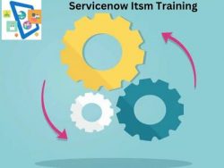 Get Servicenow ITSM Training From IT Life Club