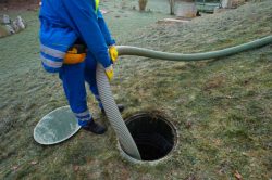 Flush Away Your Sewage Backup Worries with professional Cleanup Services