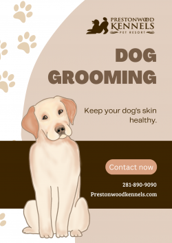 Specialized Care Service for your Dogs