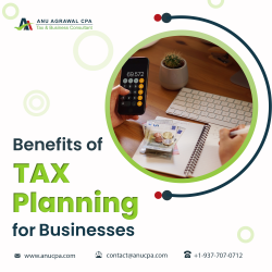 Hire Tax Consultant and Get the Benefits of Tax Planning
