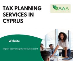 Tax Planning Services in Cyprus