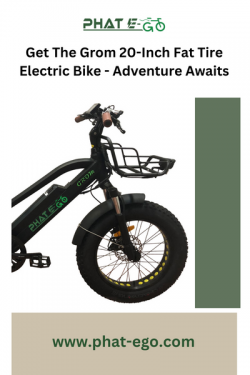 Get The Grom 20-Inch Fat Tire Electric Bike – Adventure Awaits