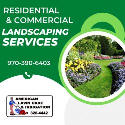 The Significance of Expert Landscaping Services