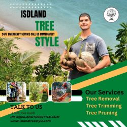 Island Tree Style – Tree Removal and Emergency Tree Services