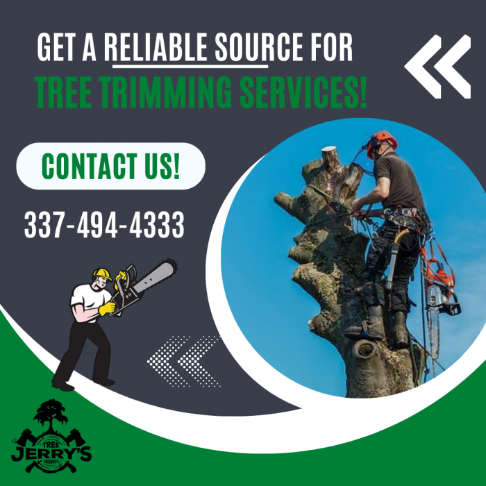 Get a Highly Trained Tree Trimming Service Today!