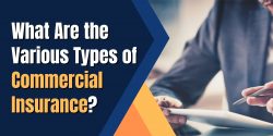 What Are the Various Types of Commercial Insurance?