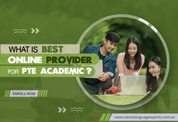 Achieve PTE Success with PTE Online Coaching – Maximize Efficiency and Savings