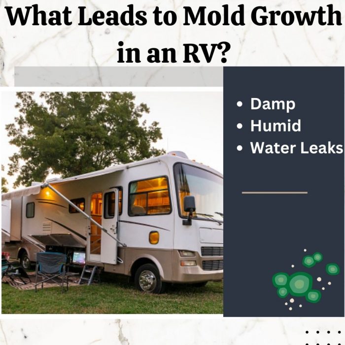 What Leads to Mold Growth in an RV?