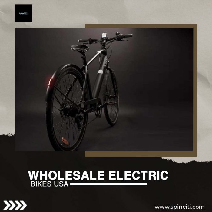Wholesale Electric Bikes in USA