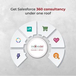 Get Salesforce 360 Consultancy under one roof – Innovadel
