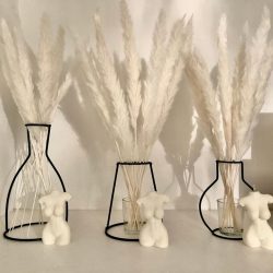 Outline Vase With Pampas Grass