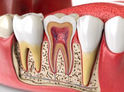 Find The Best Dental Office in North Miami, FL