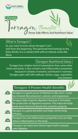 Nutritional Value of Tarragon