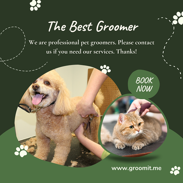 Mobile Dog Groomers In My Area