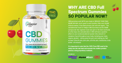 Remarkable Website VIDAPUR CBD GUMMIES Will Help You Get There