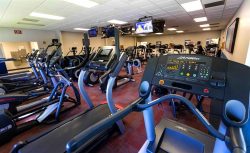 Find The Best Gyms In Alabama | best gyms near me