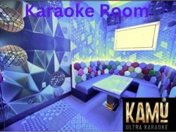 Take The Party To The Next Level: Renting a Karaoke Room For Your Next Event
