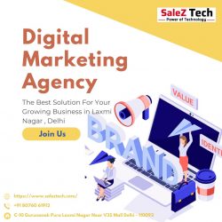 SalezTech – Best Digital Marketing Agency in Laxmi Nagar & Delhi NCR