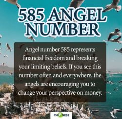 585 Angel Number And Its Meaning in Love, Twin Flame, Money & Career