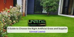 A Guide to Choose the Right Artificial Grass and Supplier | Unreal Lawns