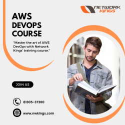Best AWS DevOps Course Provided by Network Kings