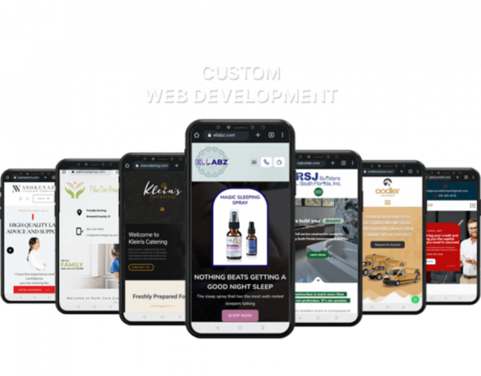 Custom Website Development Agency – Skilled Digital Media
