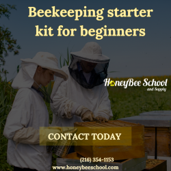 beekeeping Starter kit for beginner | Honeybee School