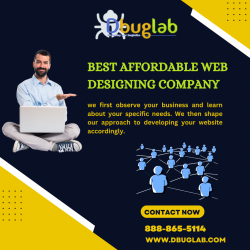 Best Affordable Web Designing Company – USA