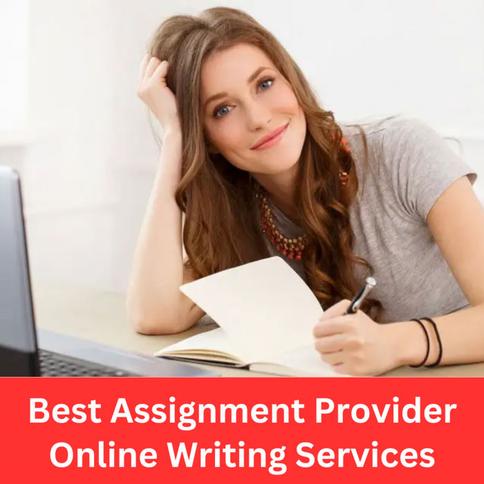 Best Assignment Provider Online Writing Services