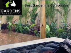 Looking For The Best Gardening Services