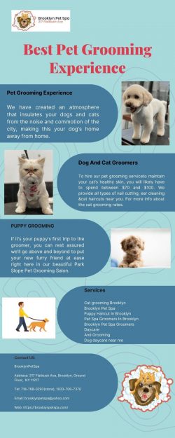 Hire the Best Pet Grooming Experience