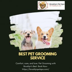 Hire Pet Grooming Services