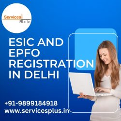 ESIC and EPFO Registration in Delhi