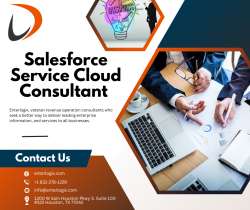 Get Expert Advice on Salesforce Service Cloud with a Certified Consultant