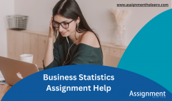 Hire Online Business Statistics Assignment Help in the USA