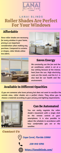 Buy the Best Roller Shades in Cape Coral |Lanai Blinds