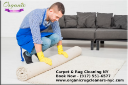 Carpet and Rug Cleaning Services in NY