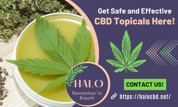Get the Highest Quality CBD Topicals!  