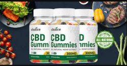 Choice CBD Gummies (2023) 100% Safe, Does It Really Work Or Not?