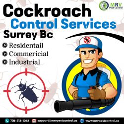Cockroach Control Services Surrey BC