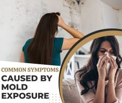 Common Symptoms Caused by Mold Exposure