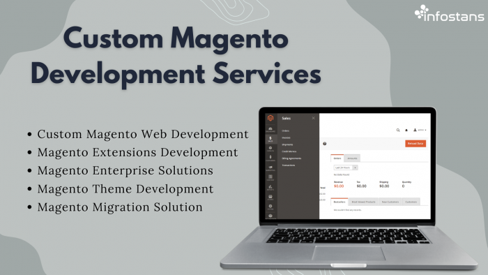 Custom Magento Development Services