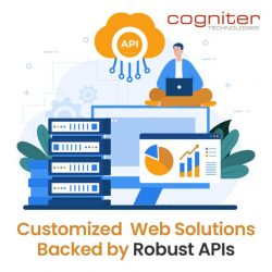 Customized Web Solutions Backed by Robust APIs
