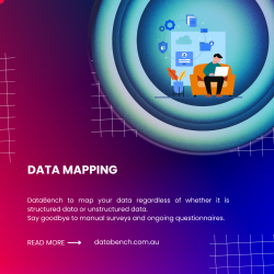 Data Mapping-What Is It?