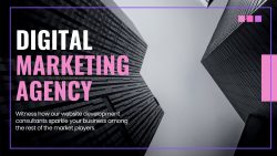 Why You Should Choose an Affordable Digital Marketing Agency in Delhi?