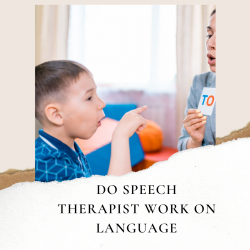 Do Speech Therapist Work On Language