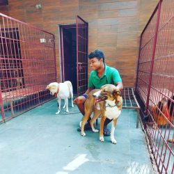 Dog boarding service centres in Gurgaon